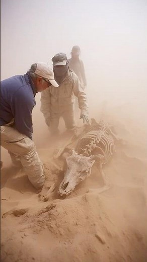 Skeleton of Unknown Predator Unearthed Beneath Sahara Sandstorm