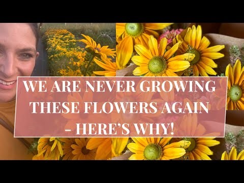 Flowers We’re Cutting from Our Flower Farm: What Didn’t Work and Why