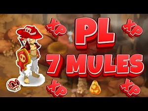 DOFUS - PL 7 MULES EN SACRIEUR