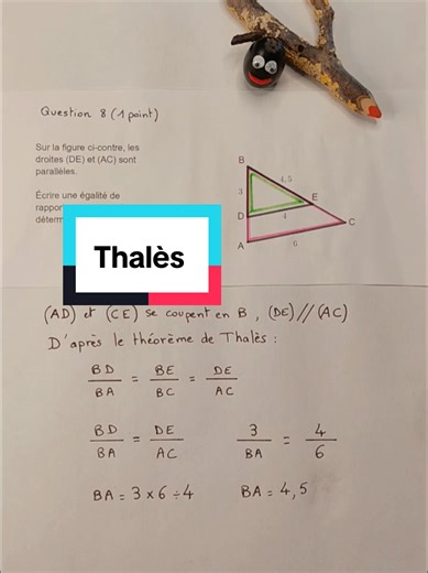 Théorème de Thalès pour Calculer une longueur Maths Collège DNB Brevet Méthode Cours SP #maths #pourtoi #fyp #education #thales
