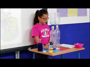 Sistema Circulatorio