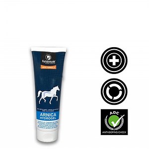 Great Benefits of Arnica for Horses and its uses - Synovium Horse Health
