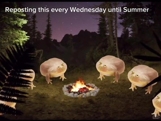 Wednesday Memes: Frog Edition