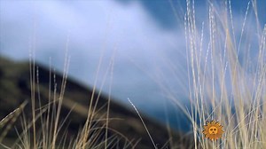 13K views · 697 reactions | Do Nothing For One Minute Take a minute, turn up the volume as we leave you in the vast and colorful Painted Hills not far from Mitchell, Oregon. Videographer: Mike Griffith. | CBS Sunday Morning | Facebook