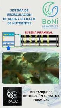 EL PROCESO de la Recirculación en BoNi Aquaponic's SM