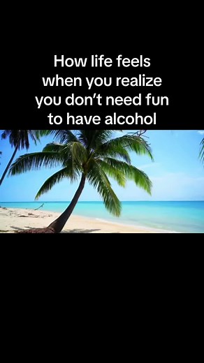 Life Without Fun: Alcohol Realization Meme