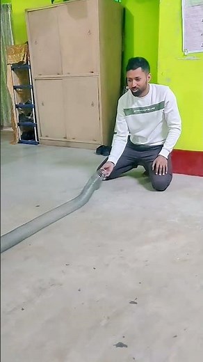 Transverse & Longitudinal Waves | Simple Physics Experiment #shorts