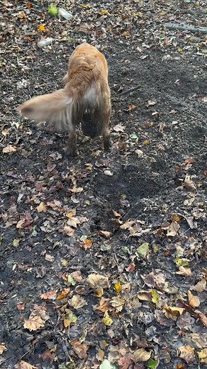 Tex will be excepting volunteers to bathe hims stinky swamp muddy butt! 🤢🤢🤢🤢🤢 | Jon Ward