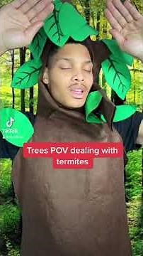 Tree POV dealing with termites