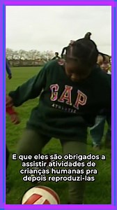 O que são os Teletubbies? 👽🛸 #Teletubbies | Canal GD
