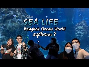 รีวิว Sea Life Bangkok | ที่ไหนอะไรดี