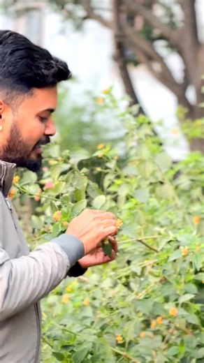 Class 12 #shortsviral #shortsfeed #biology #cbse12thbiology #ncert #cbseboard