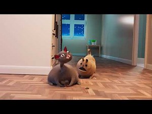 Dance with Noodle! - Noodle and Bun