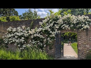 Fulham Palace Walled Gardens . Video shot entirely on rayban meta glasses #fulham #raybanmeta