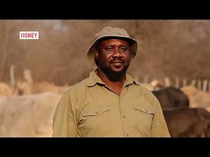 Here's what you can expect in African Farming