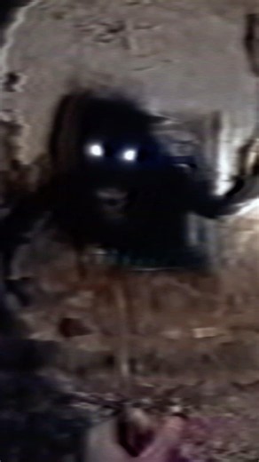 The Blair Witch of IRAN (Found Footage) colab w/ @TREPIDATIONFILM