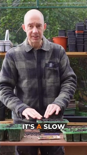 The Quickest Vegetable to Harvest This Season #gardening #grow #vegetables