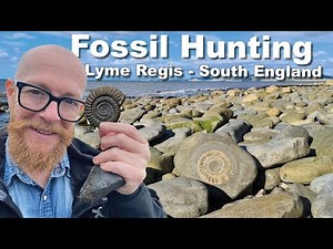 Fossil Hunting in Lyme Regis | Exploring England’s Jurassic Coast Adventure