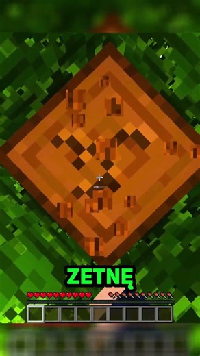 I CAN'T TOUCH THE GRASS IN MINECRAFT!