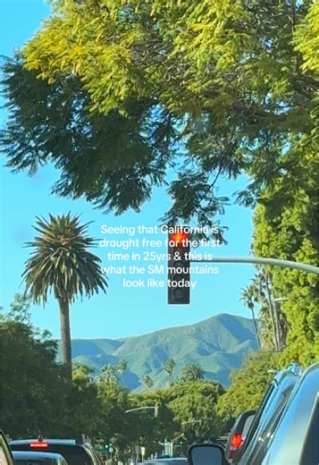 Giving Hawaii vibes #california #losangeles #santamonica | california