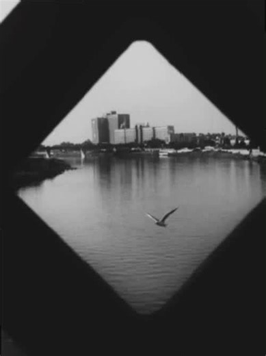 tm symbol craigslist san antonio