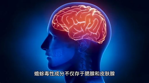 为什么说蛤蟆是一种害虫呢？蛤蟆造了多少恶，与怎么样鉴别蛤蟆，这一个视频为大家详细说下