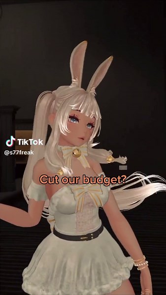 Network Budget Concerns in VRChat Community