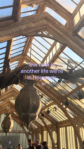 Return to Harry Potter Studios: A Magical Experience