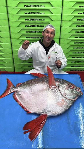 Discover the Amazing Opah Fish: Cooking Tips, Taste, and More