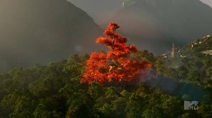 Get ready for the fantasy of The Shannara Chronicles with this free exclusive featurette. http://facebook.itunes.com/6188BViX8 | Apple TV