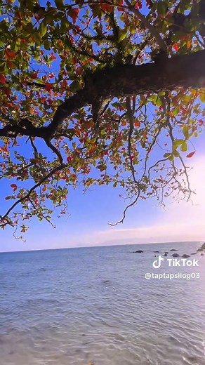 Discover the Vibrant Culture of Quezon Province