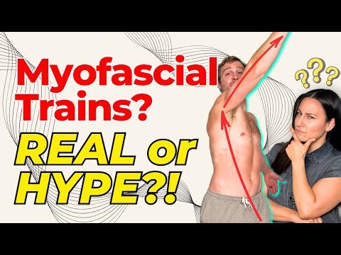 Myofascial Trains | Hype vs Evidence Explained