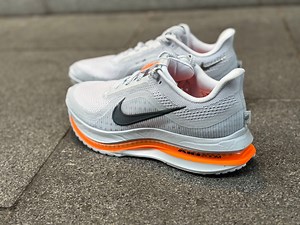 Nike Pegasus Premium — A shoe with style and substance