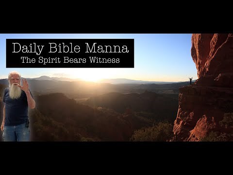 Daily Bible Manna 70 - The Spirit Bears Witness