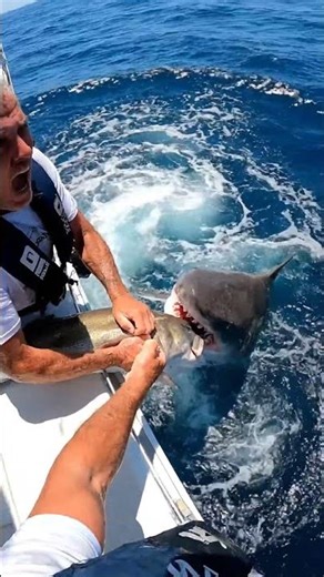 You will NOT believe what happens to his fish! #Waitforit