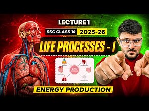 Glycolysis, Kreb's Cycle, ETC Reaction | Life processes in Living Organisms Part - 1 | Class 10 SSC