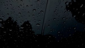 Window, Rain, Drops. Free Stock Video