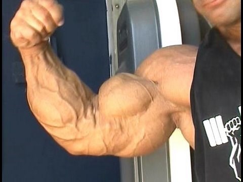Masters bodybuilder Lance Johnson training