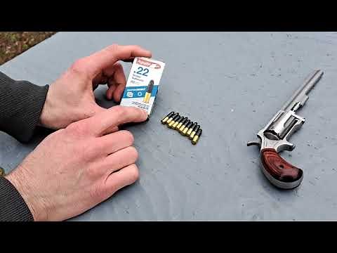 NAA Sidewinder micro 22 cal revolver