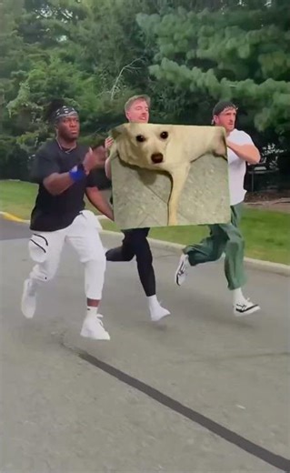 Shacky is carried by Mr. Beast and two friends 😁😁