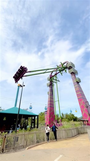 Gabriel ✌️ on Instagram: "Serengeti Flyer! These massive swing rides are like the pirate ship with the dial turned to 11 😂 You get airtime at the highest points and it feels like it’s launching you each time it passes the ground. Location: Busch Gardens Tampa FL #flatride #swings #fast #intense #themepark"
