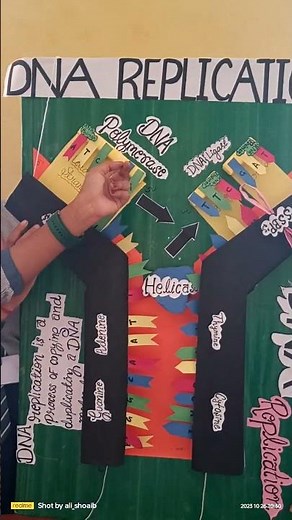 science exhibition DNA REPLICATION biology model