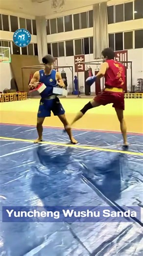 Students of Yuncheng Wushu Sanda Team. Head Coach - Wang Li (45, Henan), Shanxi. (Former Head Coach of Shaolin Tagou Wushu Sanda Professional Team) #sanda #wushusanda #wushu #martialarts #shaolin #wushutaolu #shaolinkungfu #shuaijiao #kungfu #boxing #shaolinyanlu #mma #qigong #chinna #wrestling #wingchun #taichi #JetLi #taijiquan #yanlukungfu #wudangkungfu #shaolintagou #iwuf #BruceLee #DonnieYen #MuhammadAli #JackieChan #MikeTyson #China | Wushu Sanda - 武术散打