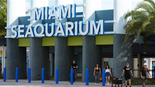 The cherished and controversial Miami Seaquarium closes its doors