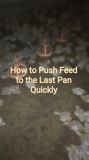 Turn Off Lights & Run the Line – Feed Reaches the End!