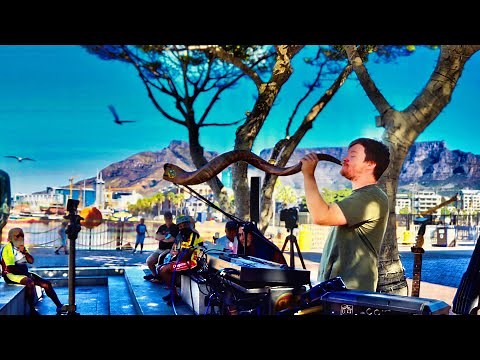 New Boss RC-505 MK2 Live Performance by Reinhardt Buhr (New Album Bonus Track)