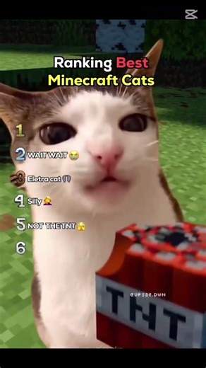 Ranging best Minecraft cat moments part 2 #cat #viral #part2 #minecraft