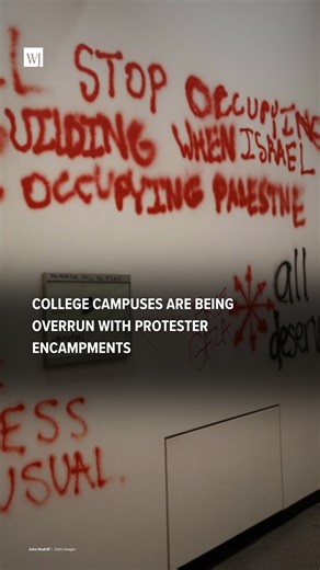 2.5K views · 40 reactions | Why are these universities allowing this disruptive behavior to stand on their campuses? #america #2024election #trump #biden #republican #democrat #trump2024 #joebiden #conservative #liberal | Conservative Tribune by WJ | Facebook