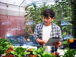 Set Up Your Hydroponic System