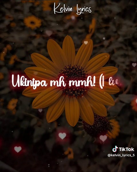 Jaymelody Far Away Lyrics Video | Tanzanian TikTok